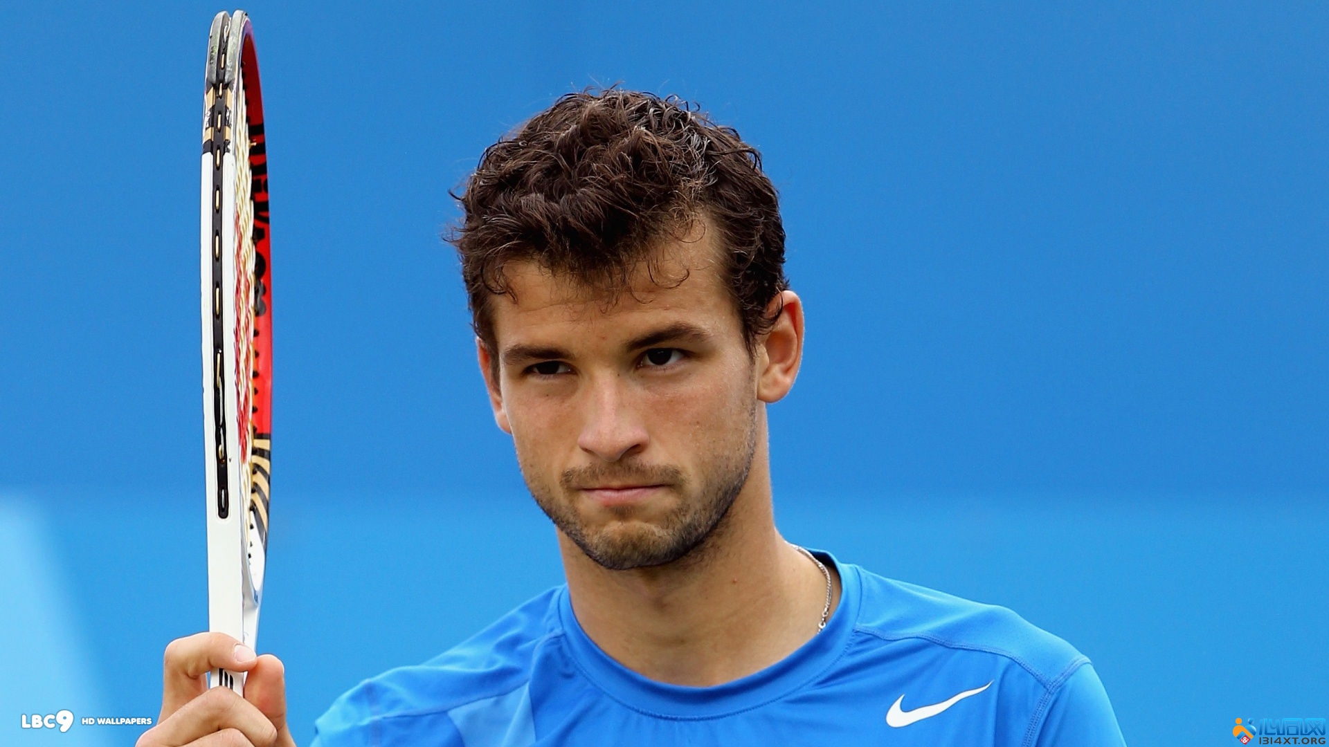 选择回归这 选择回归这